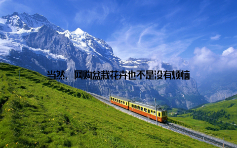 当然, 网购盆栽花卉也不是没有烦恼
