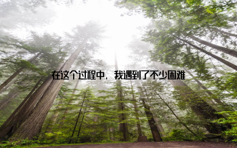 在这个过程中, 我遇到了不少困难
