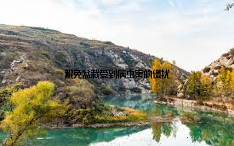 避免盆栽受到病虫害的侵扰