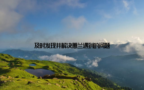 及时发现并解决蕙兰遇到的问题