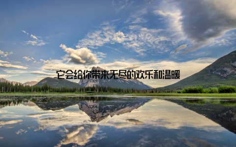它会给你带来无尽的欢乐和温暖