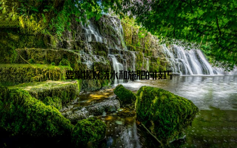 要掌握好浇水和施肥的技巧