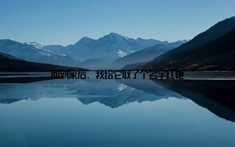 回到家后, 我给它取了个名字红艳