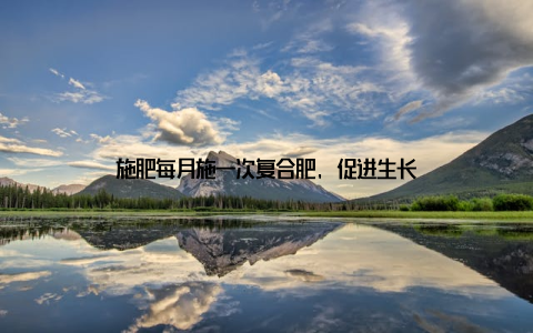 施肥每月施一次复合肥, 促进生长