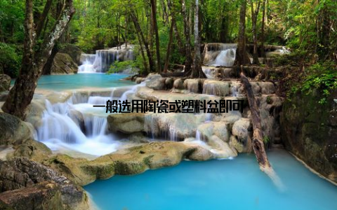 一般选用陶瓷或塑料盆即可