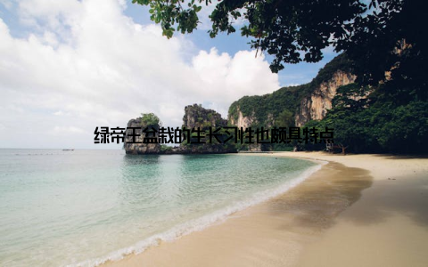 绿帝王盆栽的生长习性也颇具特点