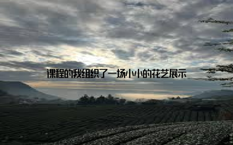 课程的我组织了一场小小的花艺展示