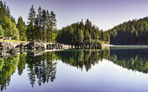 修剪后, 注意伤口消毒