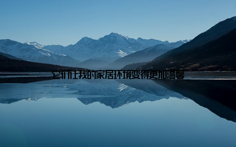 它们让我的家居环境变得更加温馨