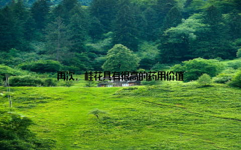 再次, 桂花具有很高的药用价值