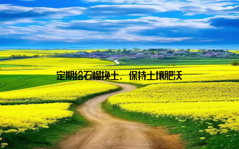定期给石榴换土, 保持土壤肥沃