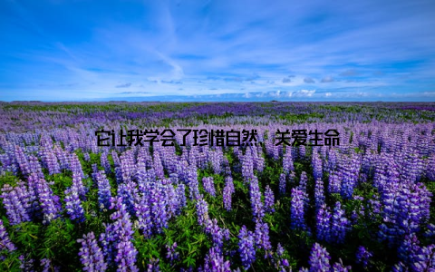 它让我学会了珍惜自然, 关爱生命