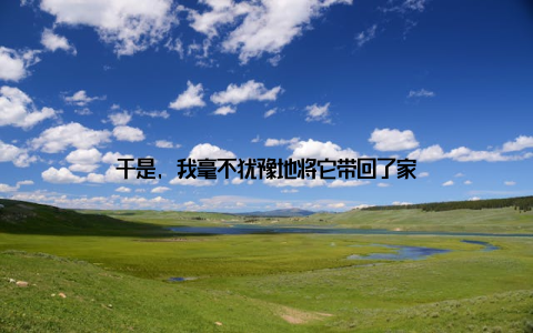 于是, 我毫不犹豫地将它带回了家