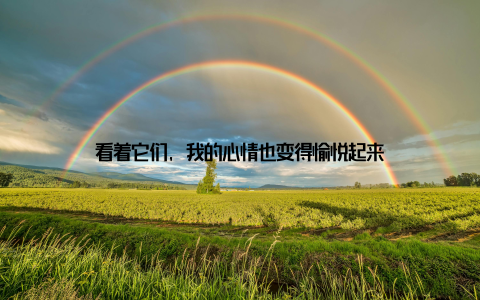 看着它们, 我的心情也变得愉悦起来