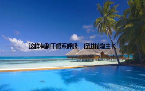 这样有利于根系呼吸, 促进植物生长