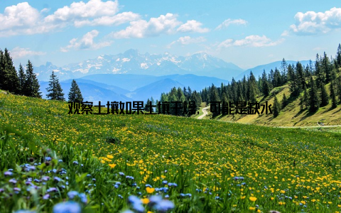 观察土壤如果土壤干燥, 可能是缺水