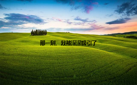 那一刻, 我被深深吸引了