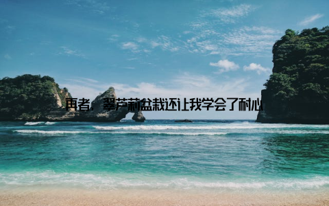 再者, 翠芦莉盆栽还让我学会了耐心