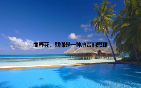而养花, 就像是一种心灵的慰藉