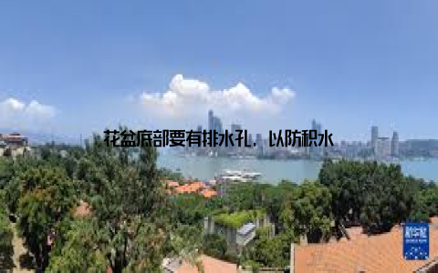 花盆底部要有排水孔, 以防积水