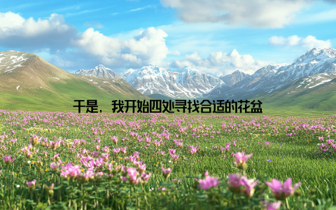 于是, 我开始四处寻找合适的花盆