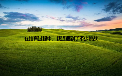 在培育过程中, 我还遇到了不少挑战