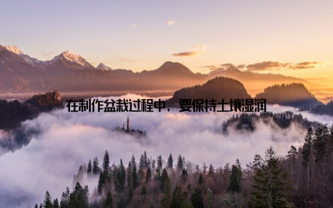 在制作盆栽过程中, 要保持土壤湿润