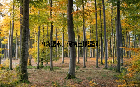 4浇透水, 保持土壤湿润