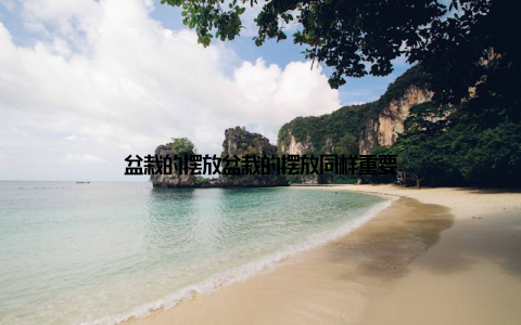 盆栽的摆放盆栽的摆放同样重要