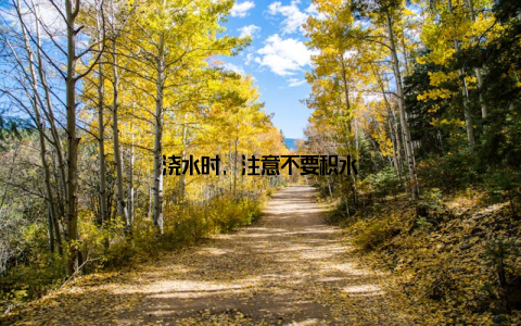 浇水时, 注意不要积水
