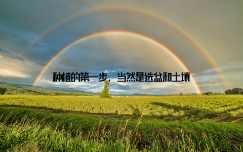 种植的第一步, 当然是选盆和土壤