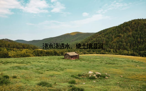 浇水浇透水, 使土壤湿润