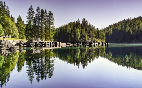 收获柠檬时, 只需轻轻摘下即可