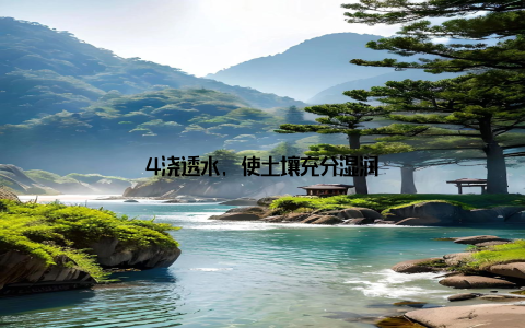 4浇透水, 使土壤充分湿润