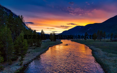 夏季高温时期, 要适当减少浇水次数