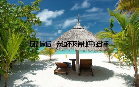 回到家后, 我迫不及待地开始动手