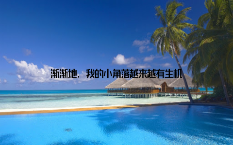 渐渐地, 我的小角落越来越有生机