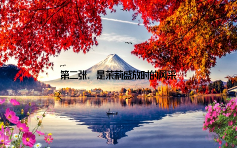 第二张, 是茉莉盛放时的风采