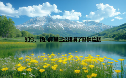 如今, 我的家里已经摆满了各种盆栽