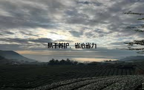 易于养护, 省心省力