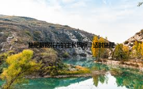 施肥根据花卉的生长周期, 适时施肥