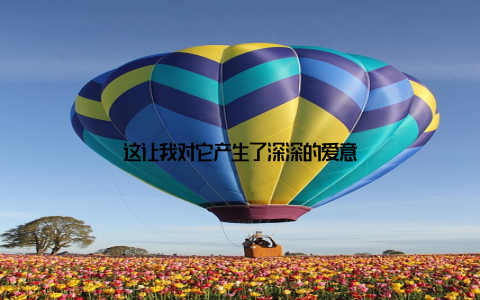 这让我对它产生了深深的爱意