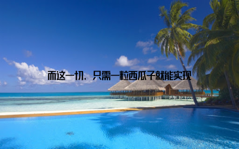 而这一切, 只需一粒西瓜子就能实现
