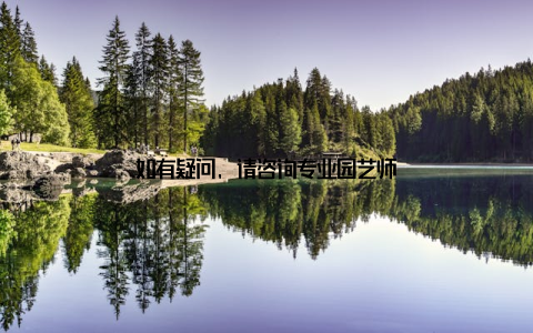 如有疑问, 请咨询专业园艺师