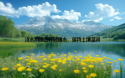 浇水用喷壶轻轻喷水, 保持土壤湿润