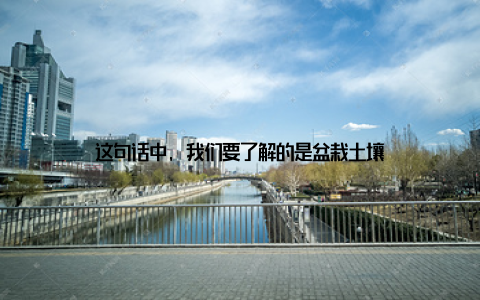 这句话中, 我们要了解的是盆栽土壤