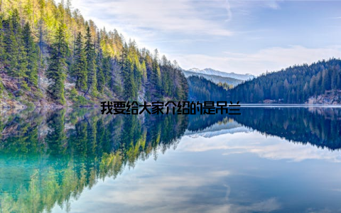 我要给大家介绍的是吊兰