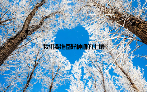 我们要准备好种植的土壤