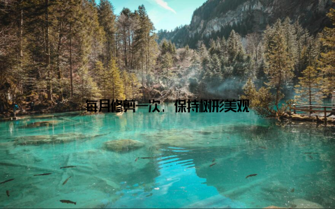 每月修剪一次, 保持树形美观