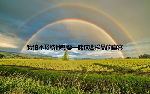 我迫不及待地想要一睹这些珍品的真容